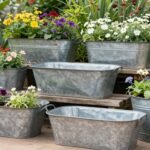 Collection of vintage galvanized wash tubs in various sizes arranged in a garden setting with wash tub planter ideas visible