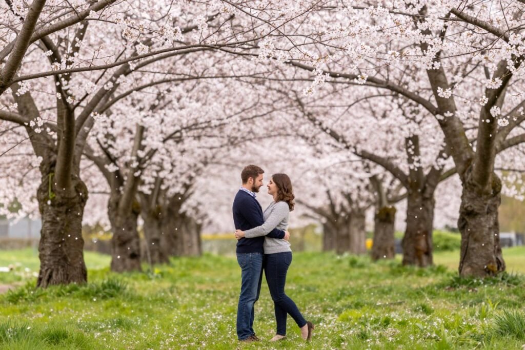 Spring anniversary photo with couple among blooming cherry blossoms Spring anniversary photo with couple among blooming cherry blossoms