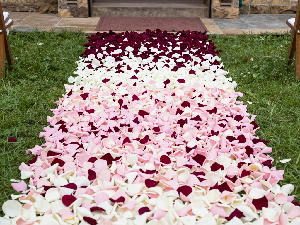 Wedding aisle decorated with scattered rose petals in ombré pattern