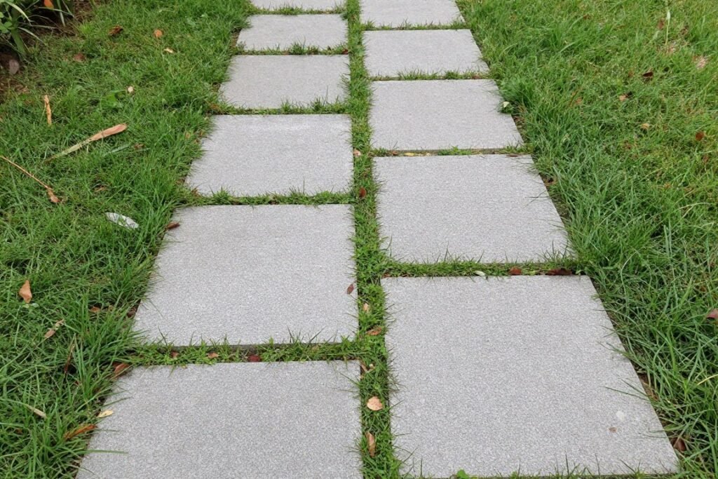 flagstone path with ground cover between stones